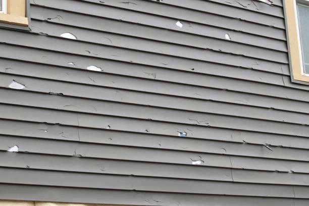 Affordable Siding Repair and Maintenance Services in Gaffney, SC